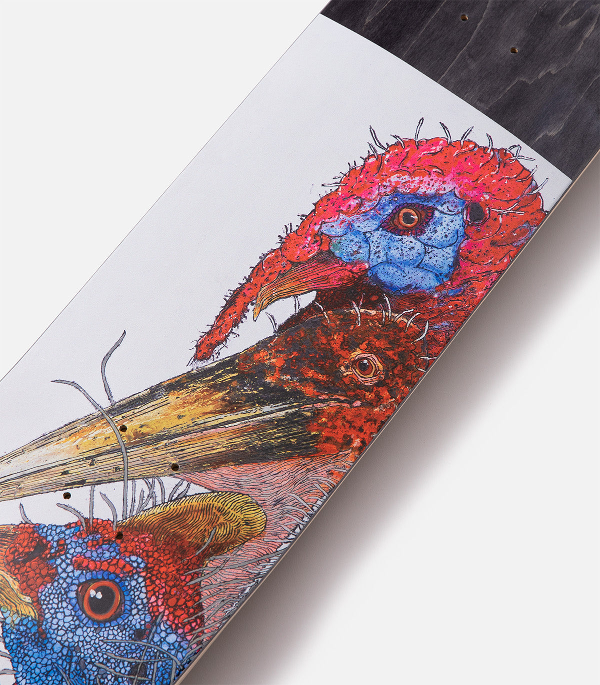 GX1000 Birds Deck – Atlas