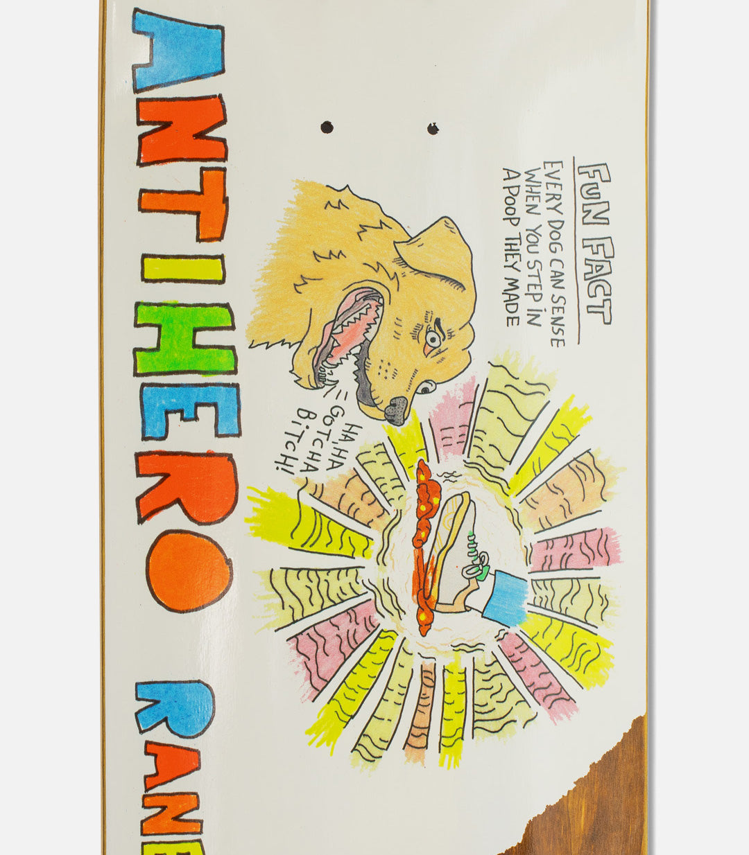 Antihero Raney Beres Porous Walker Round 3 Deck
