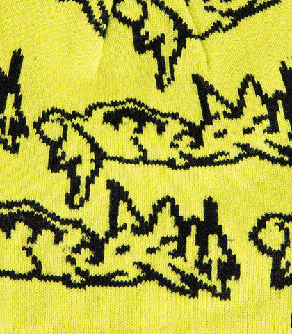 There Parasite Skully Beanie