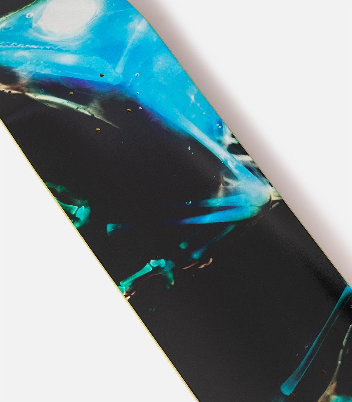Swim Kevin Terpening X-Ray Deck