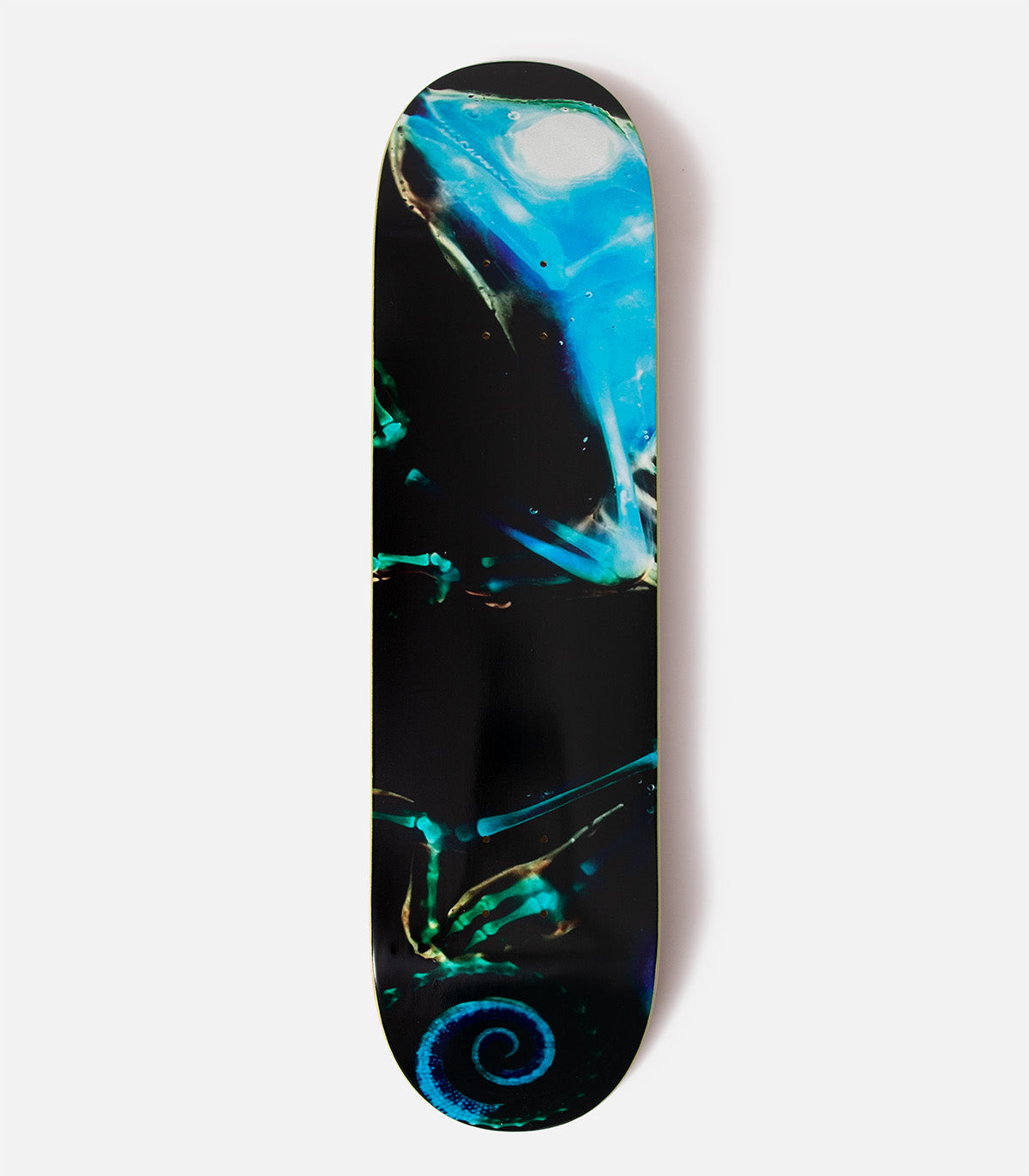 Swim Kevin Terpening X-Ray Deck