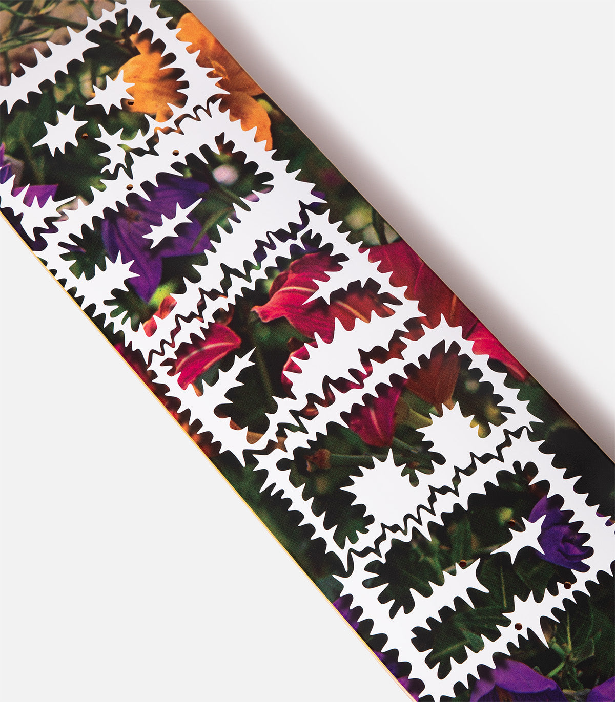 Baker Andrew Reynolds Library Card Deck