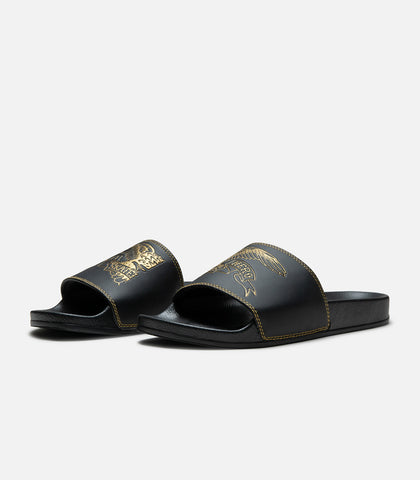 Antihero Basic Eagle Slides