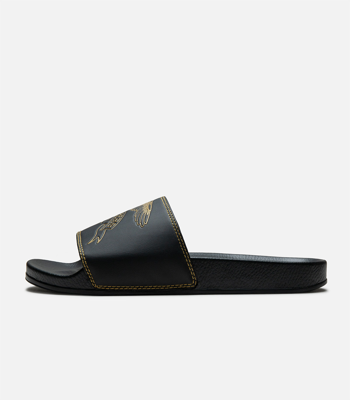 Antihero Basic Eagle Slides