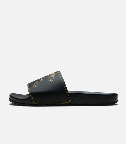 Antihero Basic Eagle Slides