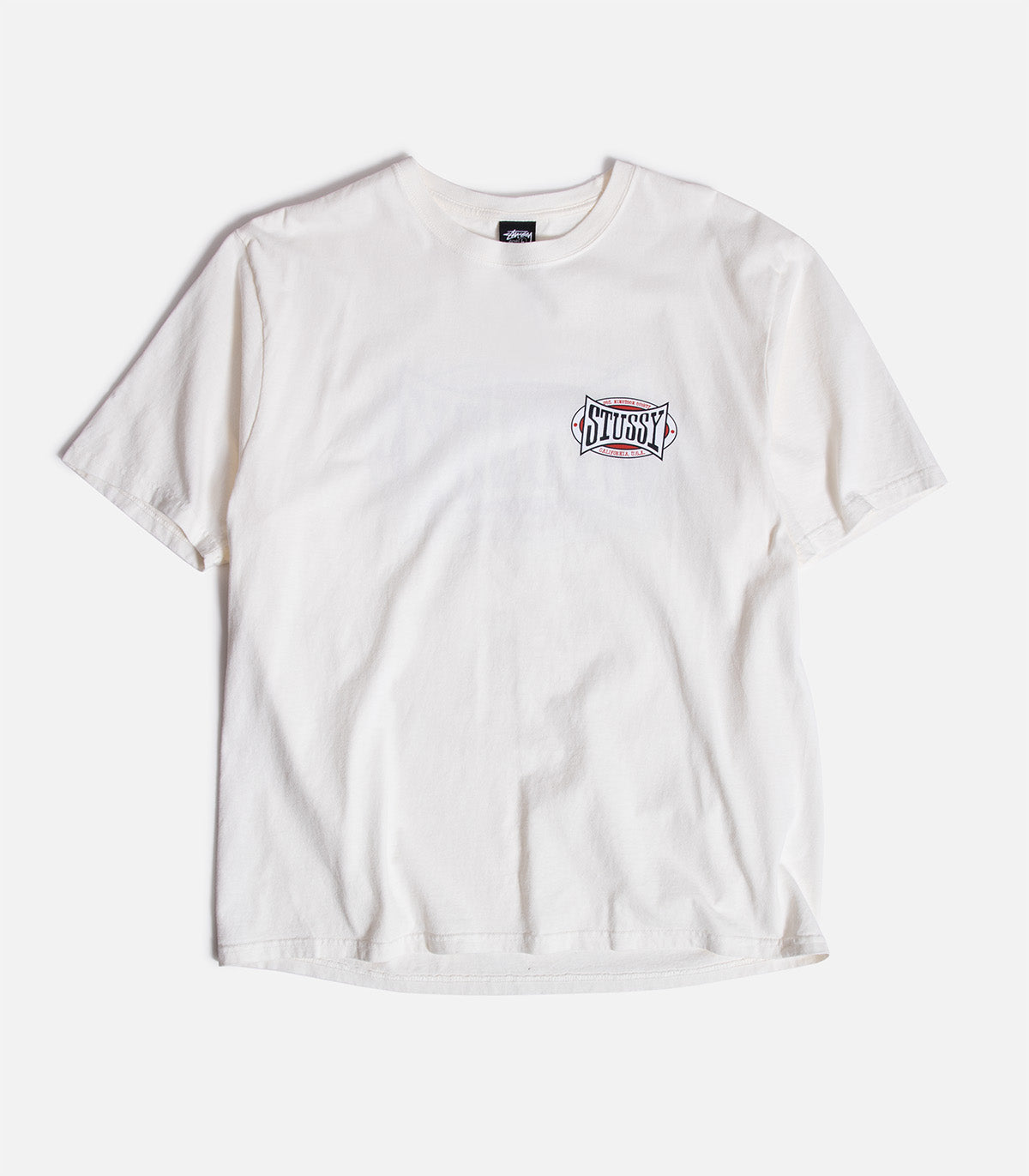 Stussy Champion Oval Pigment Dyed T-Shirt