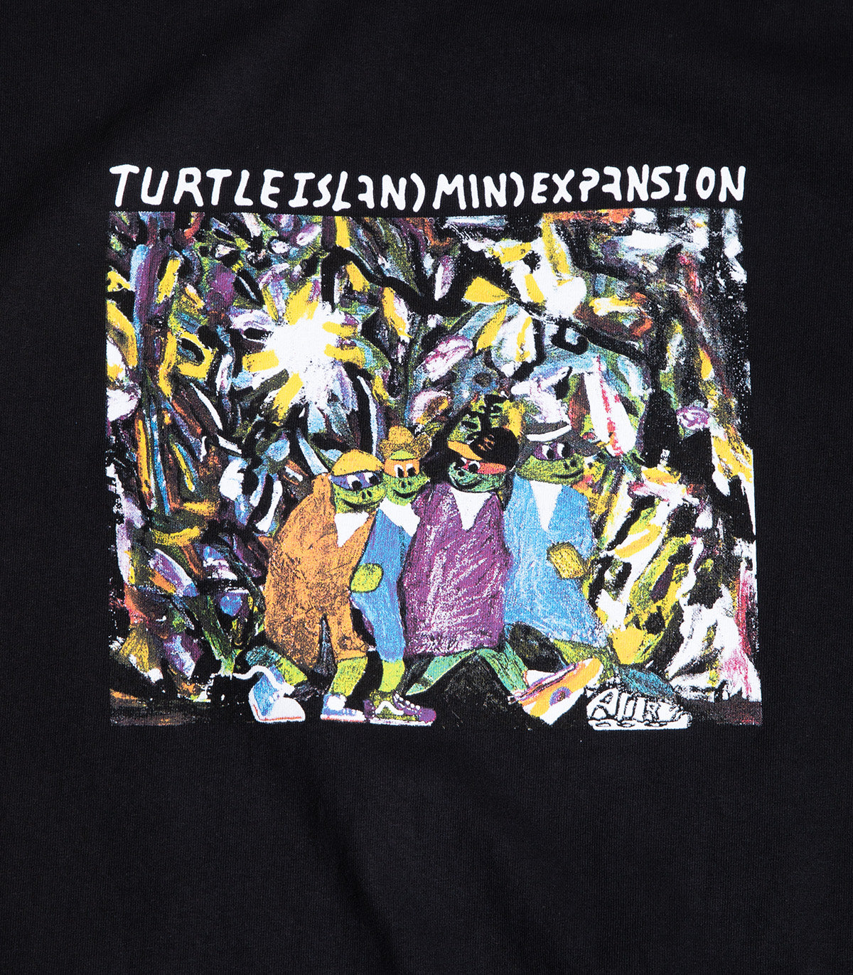 Turtle Island Mind Expansion Homies T-Shirt