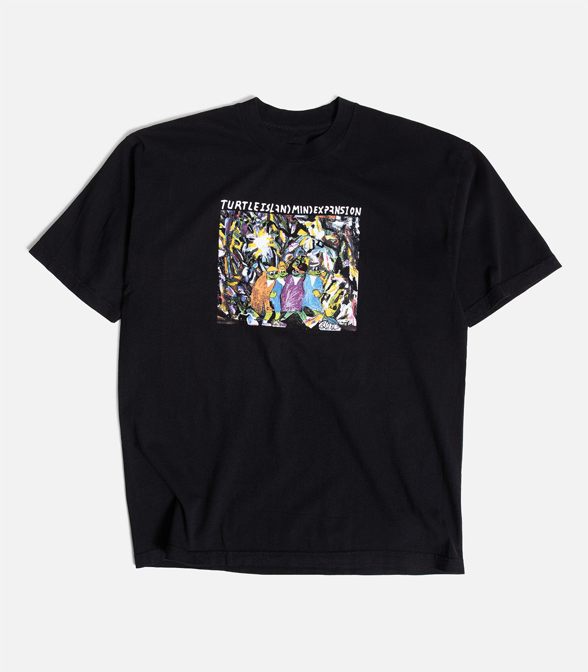Turtle Island Mind Expansion Homies T-Shirt