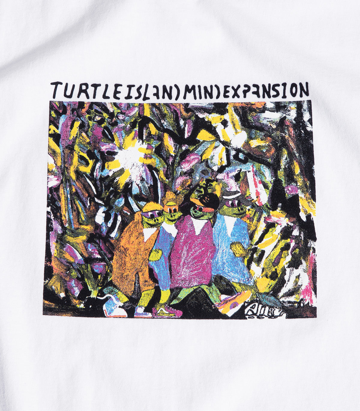 Turtle Island Mind Expansion Homies T-Shirt