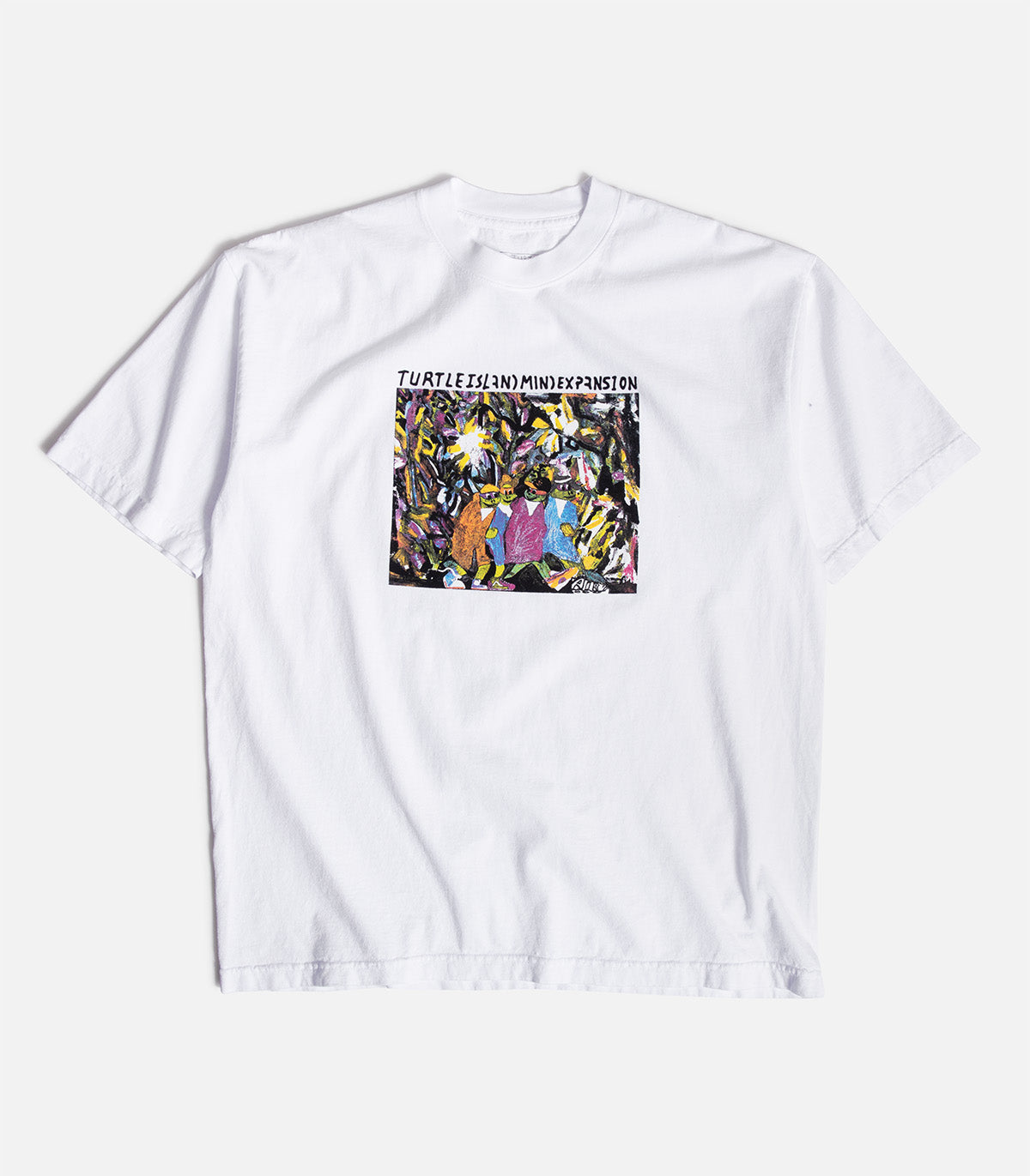 Turtle Island Mind Expansion Homies T-Shirt